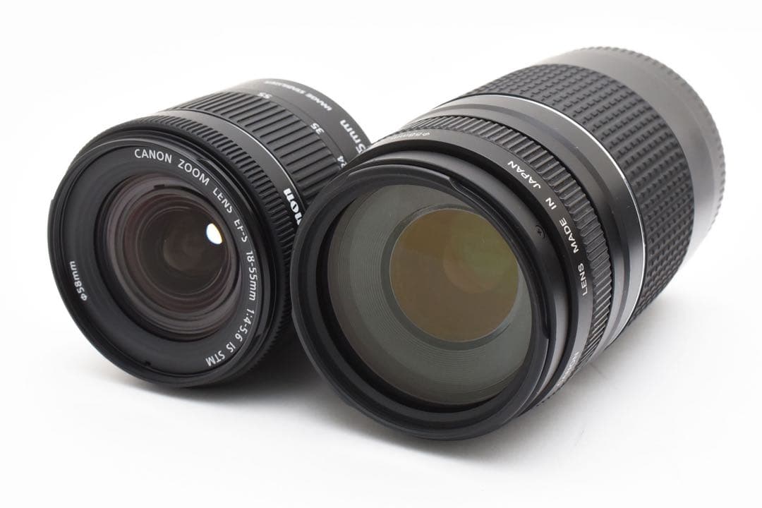 デジタル一眼レフカメラCanon EOS 90D標準&望遠ダブルレンズセット