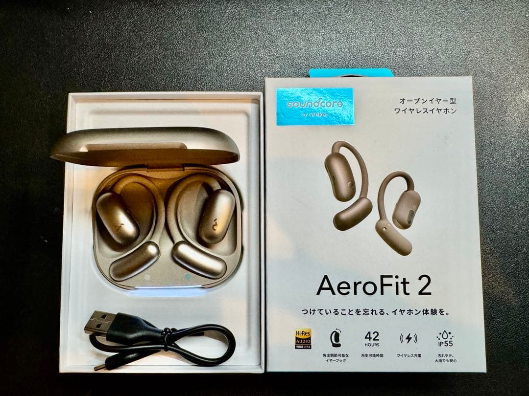 AeroFit 2 ワイヤレスイヤホン