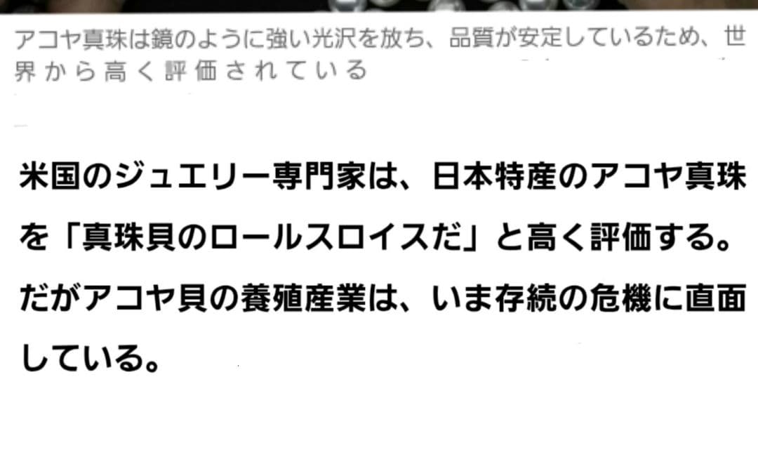 あかりんご様　希少あこや本真珠ネックレス　フォーマル妖艶照り珠silverK18