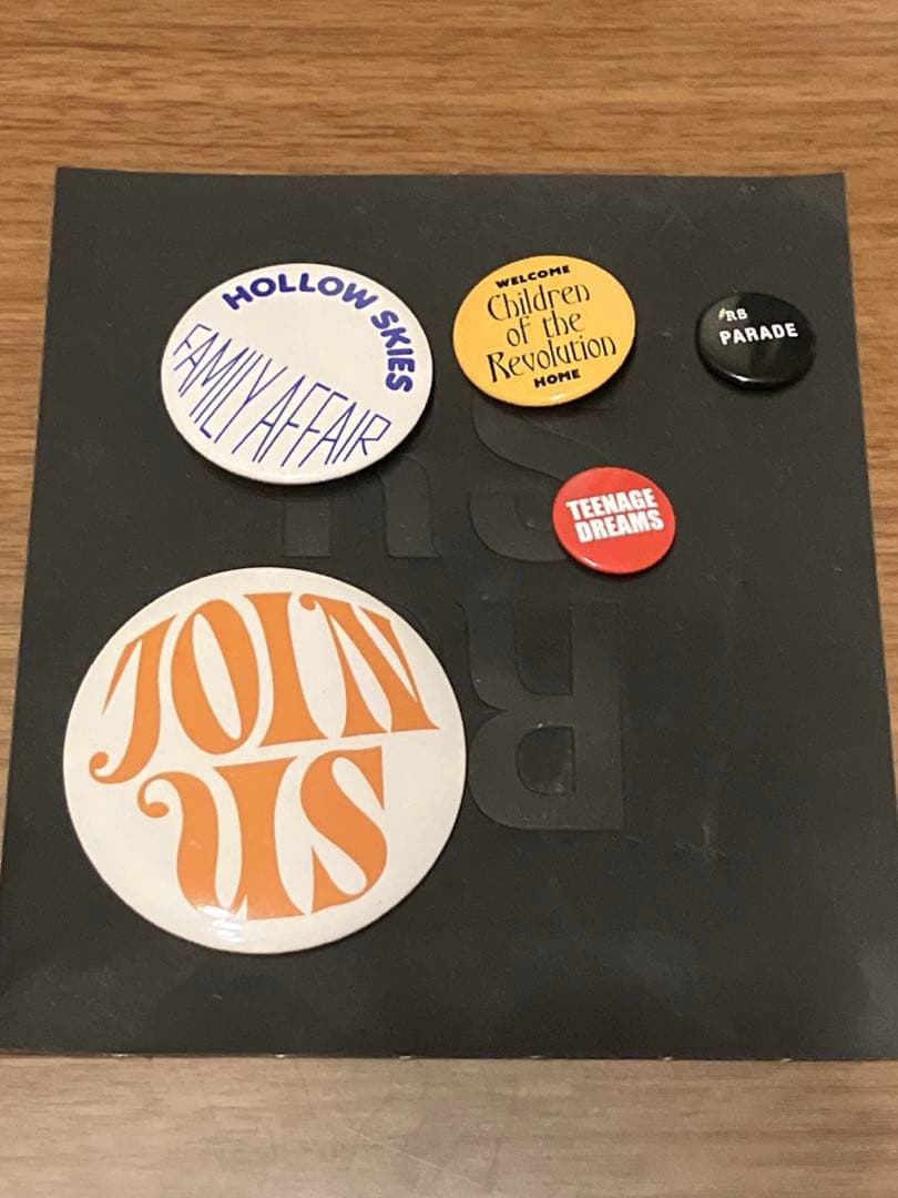 RAF SIMONS 缶バッジ 缶バッチ ピンズ ②