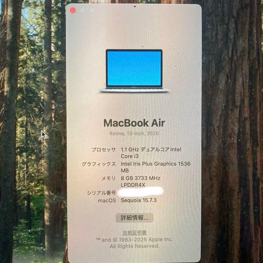 MacBook本体 MacBook Air (Retina, 13-inch, 2020)