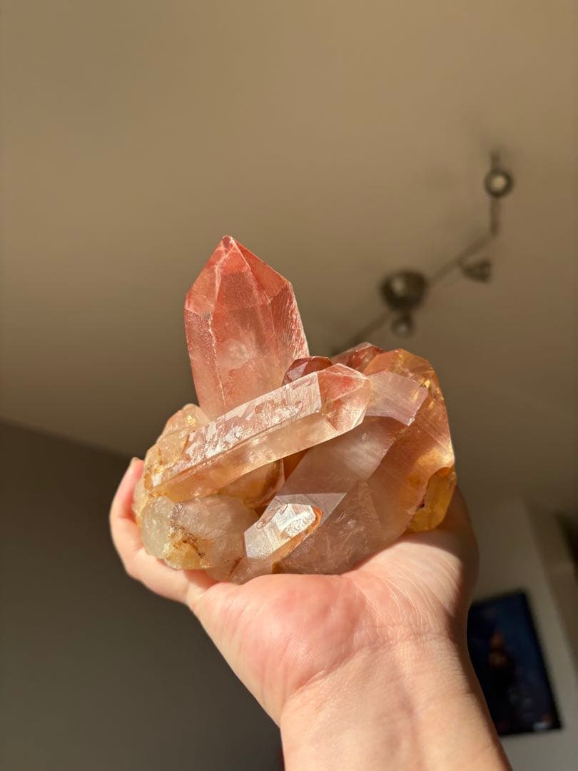 【SALE‼️】希少！　スカーレットテンプルレムリアン