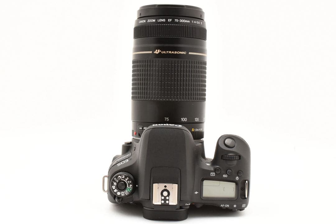 Canon EOS 9000D 望遠レンズセット/Canon EF 75-300