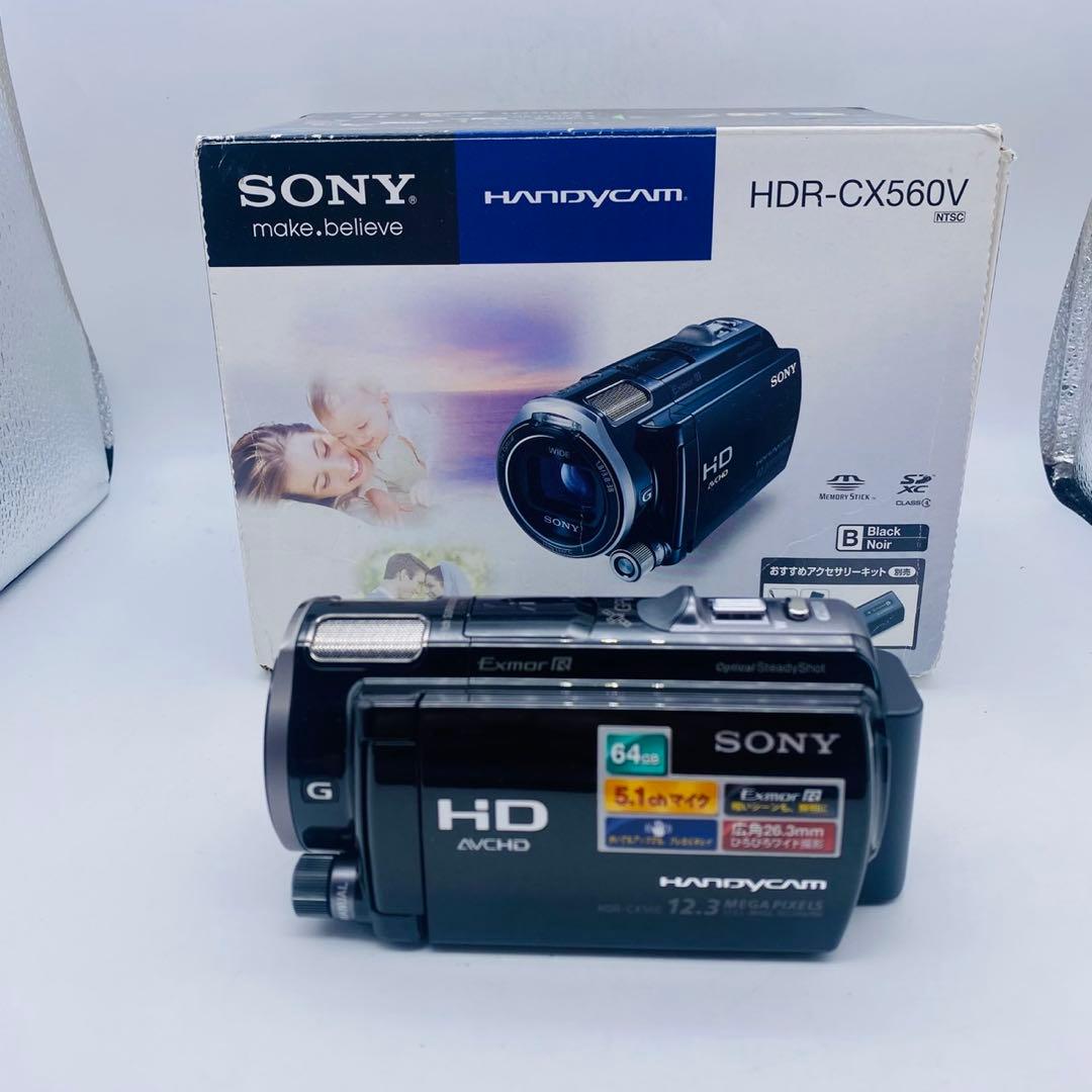 【動作確認済み】 SONY HANDYCAM HDR-CX560Vビデオカメラ