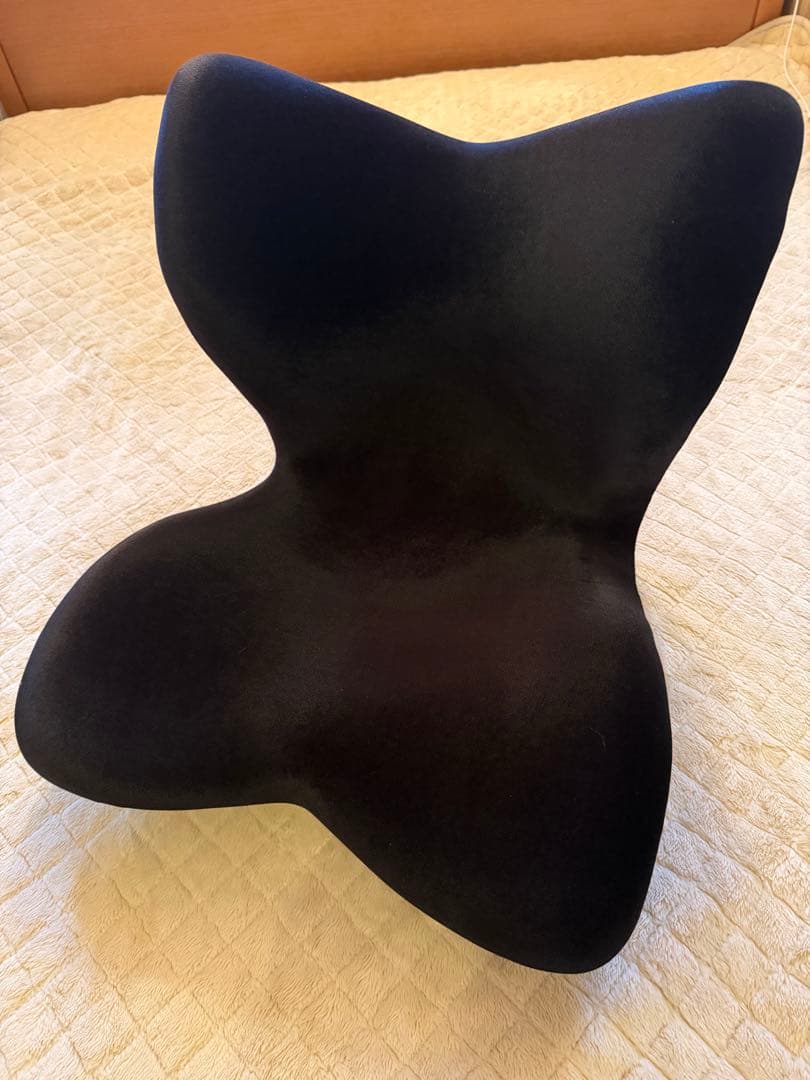 Style PREMIUM DX スタイル　プレミアムデラックス【新品】