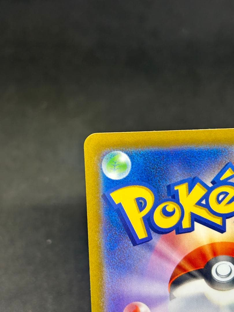 自引き美品)メガカイリューex SAR 246/193