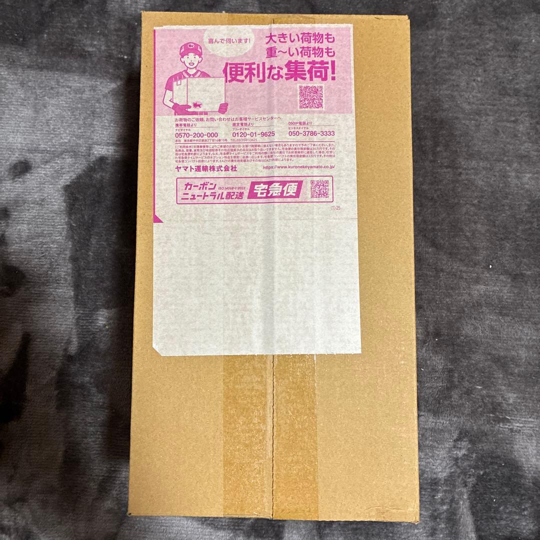 即購入歓迎 未開封品 ポケモンセンターヒロシマ スペシャルBOX