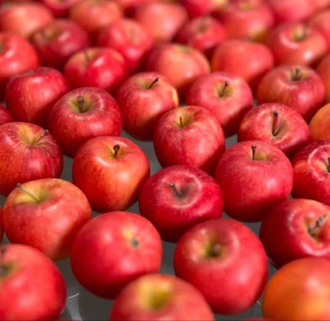 ◽️特大箱◽️ 幻の林檎　高徳　希少りんご　青森県産　クロネコ便幻の林檎