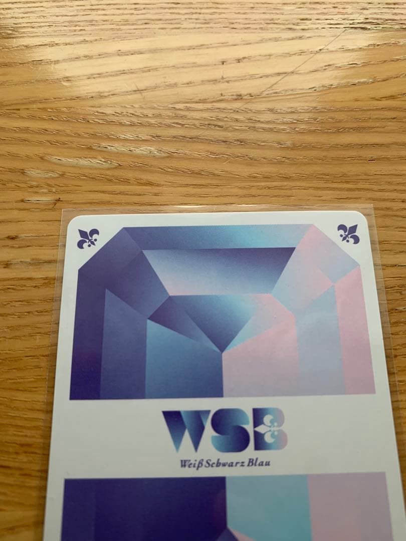 【即購入可！】ヴァイスシュヴァルツブラウ 家庭教師ヒットマンREBORN! SP