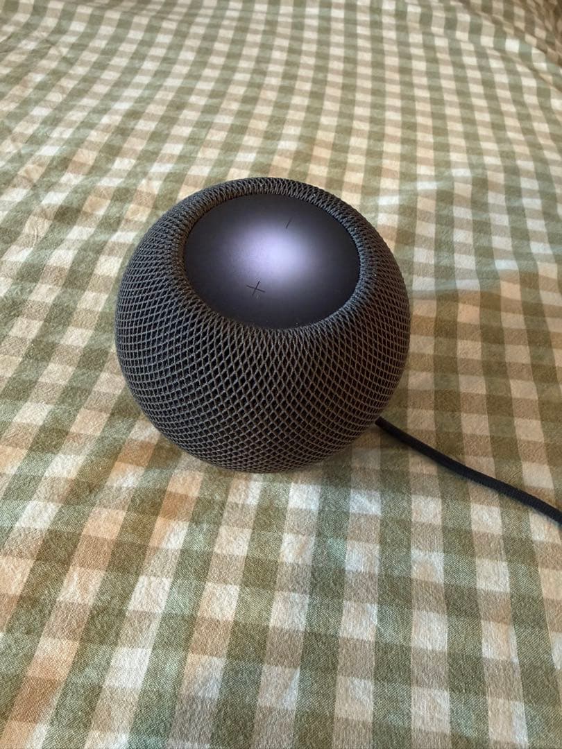 Apple Pod mini スペースグレイ 動作確認済みケーブル付