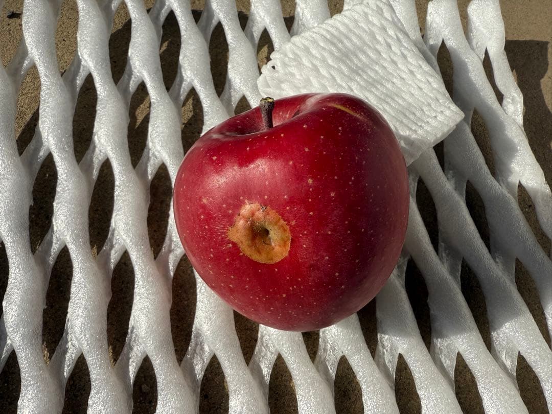 【すみちゃん】長野県産サンふじ　5kg×3箱