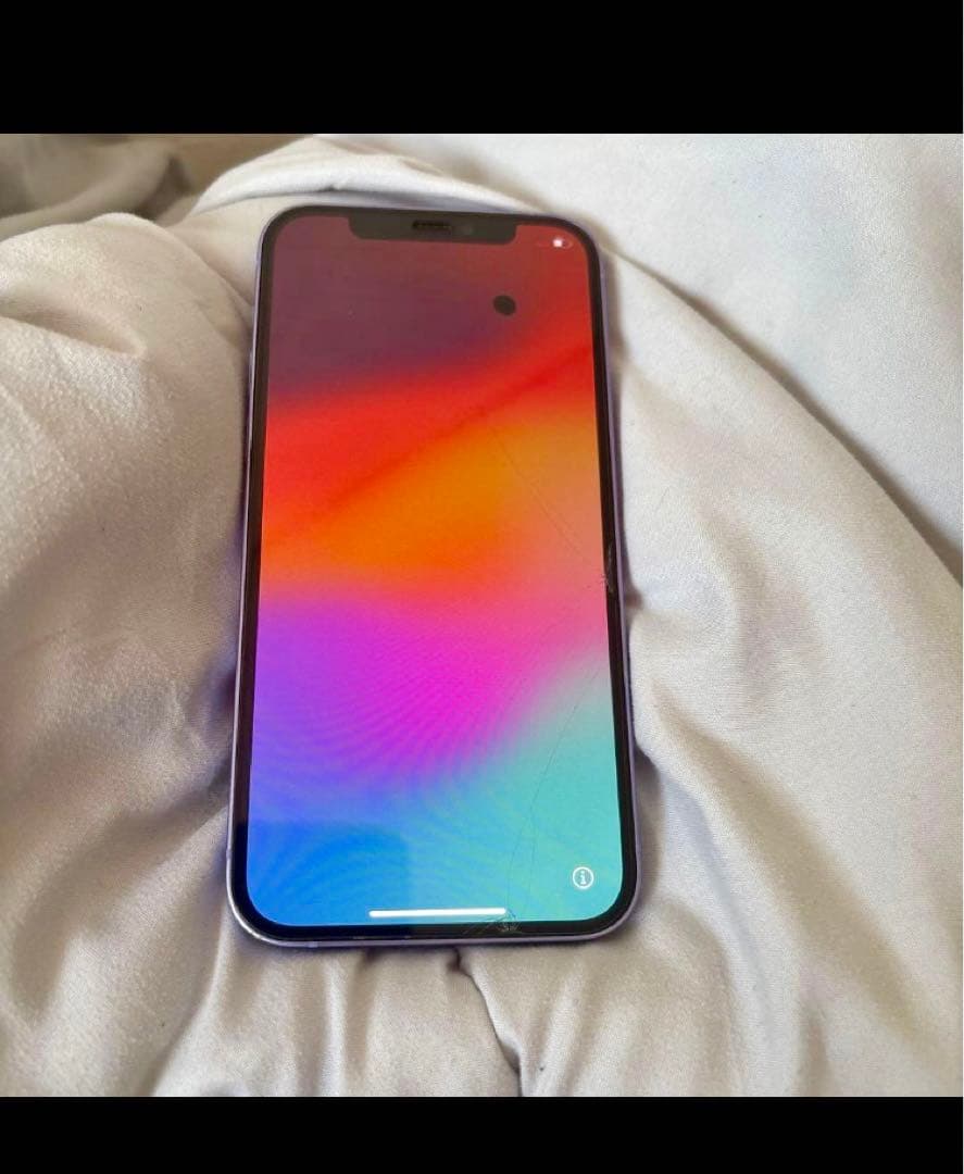 限定価格Apple iPhone 12 パープル 本体