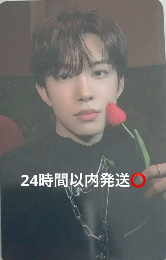 ald1 ゴヌ サノク トレカ