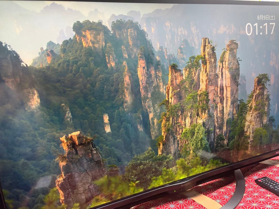 アクオス50型 液晶テレビ Android TV 4T-C50AM1 2018年