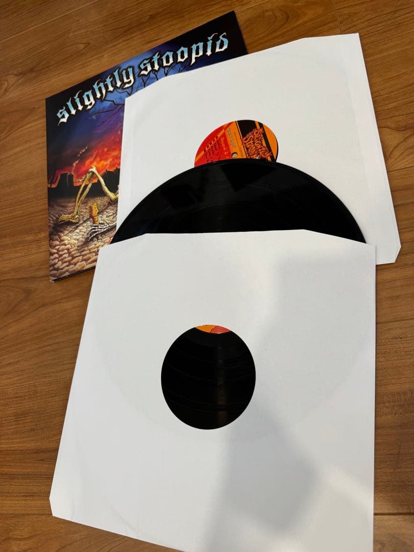 Slightly Stoopid Everything You Needレコード