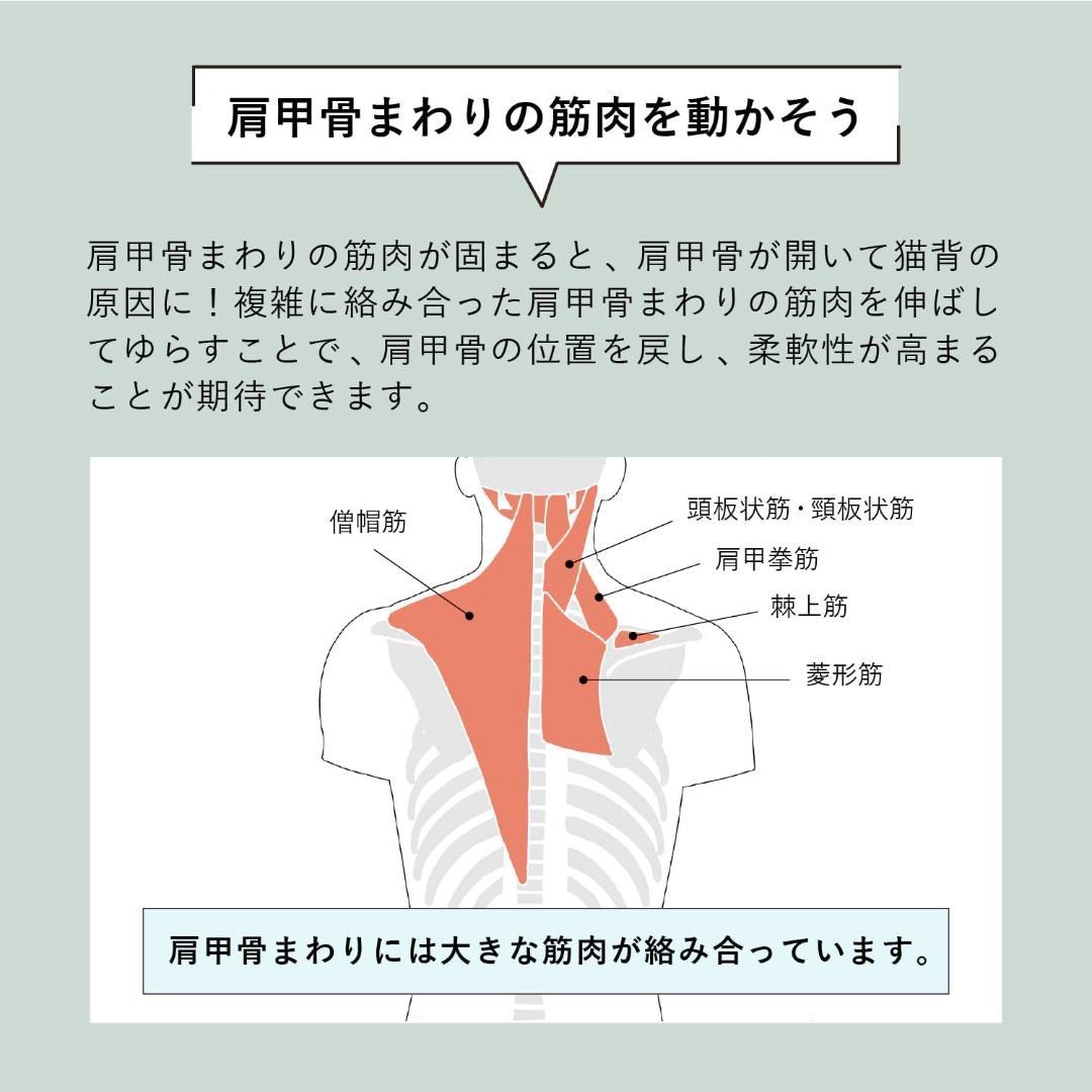 ATEX 肩甲骨 ストレッチギア AX-HX264gr ストレッチ 背中 腰