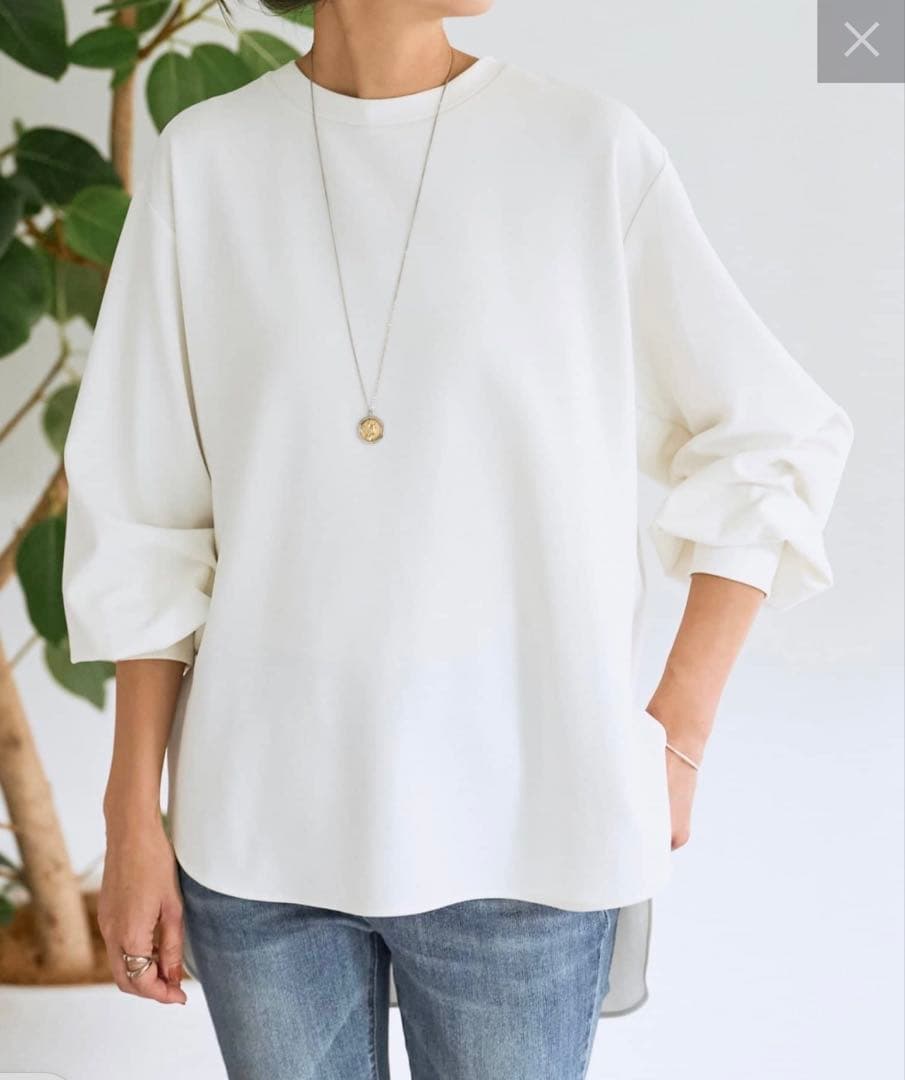 ［美品］ビアズリーBEARDSLEY Tブラウス ホワイト 長袖