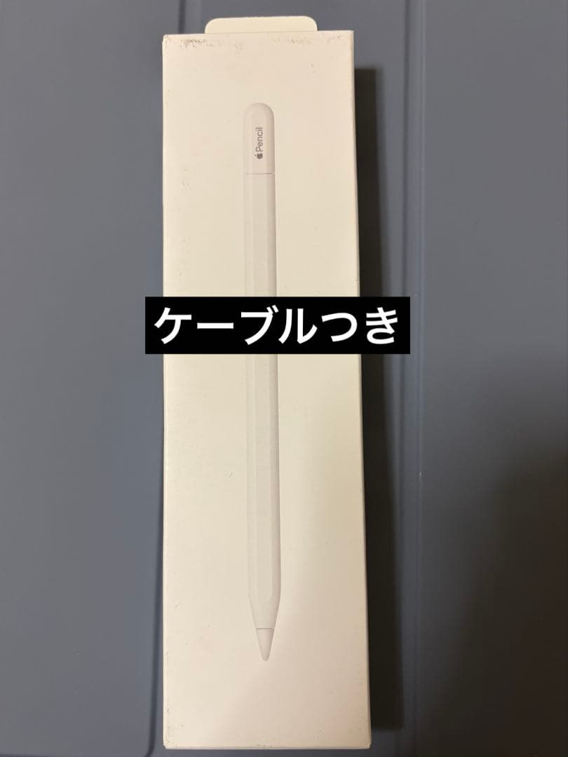 Apple Pencil USB-Cタイプ 1本　ケーブルつき