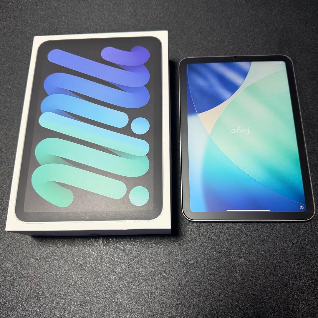 iPad mini (A17-Pro) 128GB 第7世代　スペースグレイ