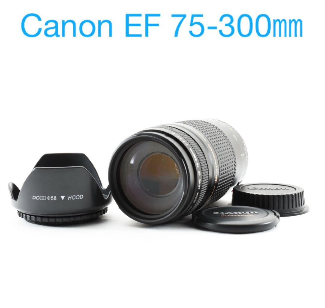 美品☆キヤノン Canon EF 75-300㎜ F4-5.6 ll USM