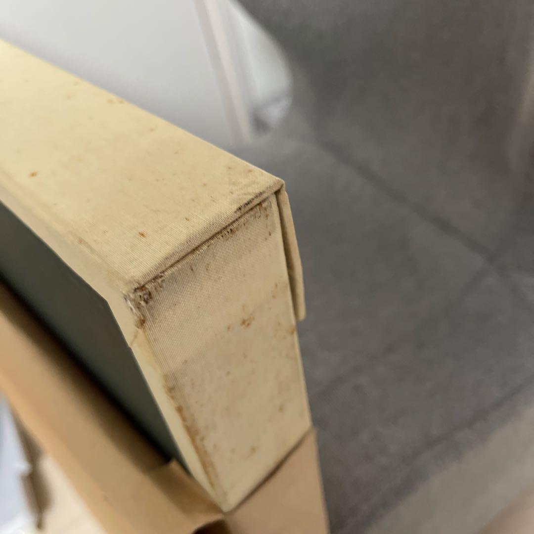 貴重　レア　メキシコ　斎藤清