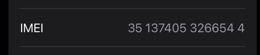 iPhone13 mini 256GB ブルー　純正ケース付