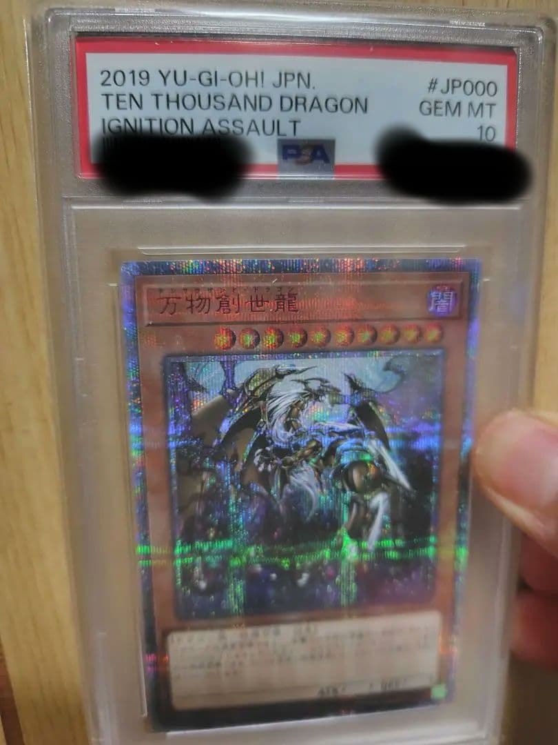 万物創世龍 psa10