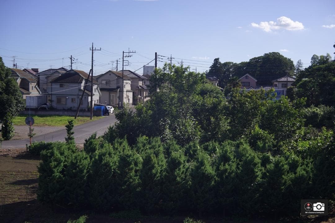 希少Canon SERENAR 5cm F/3.5 Ｌ３９ MIOJ 整備済