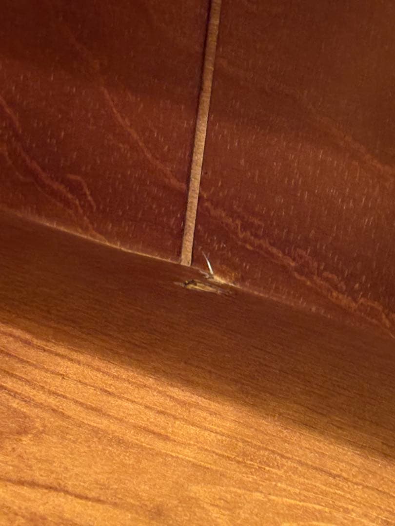 アクタス取扱　スペイン　タイル　棚　ディスプレイ棚　食器棚