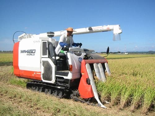 白米20kg岩手県奥州市前沢産ひとめぼれ令和7年産米