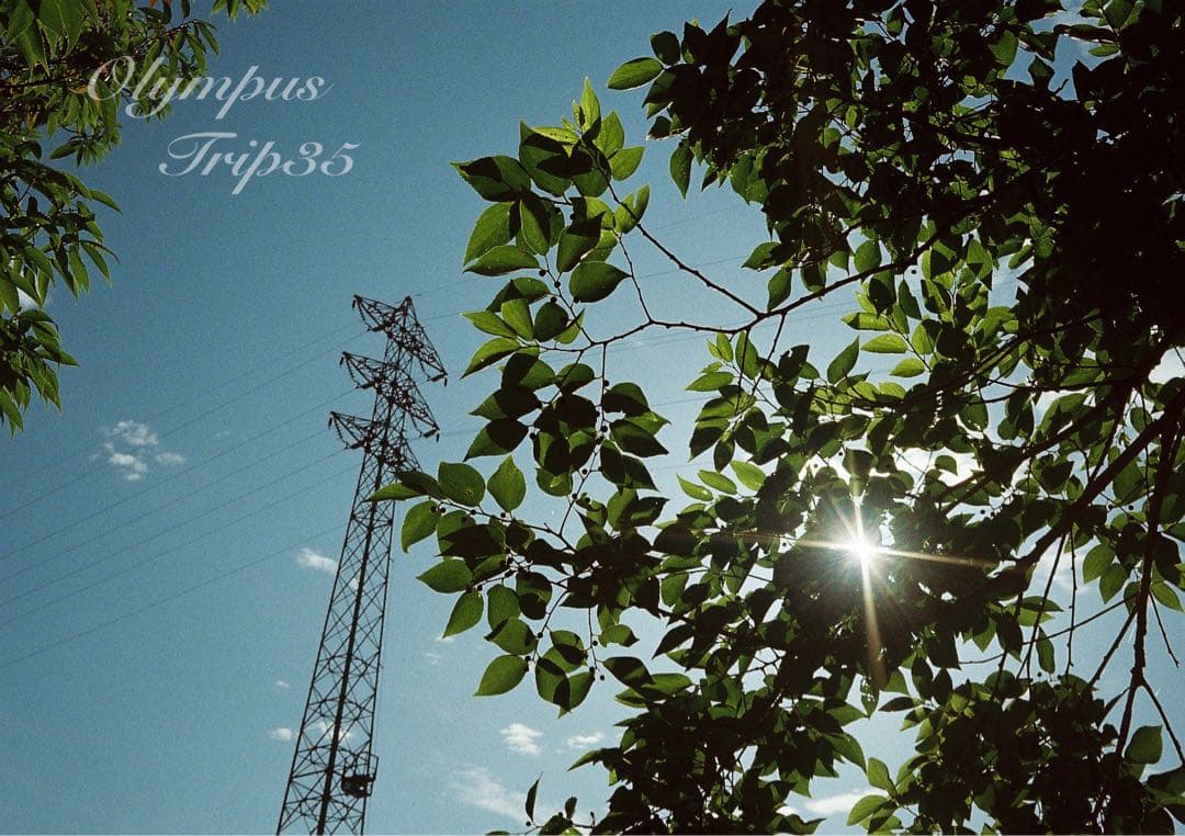 オリンパス trip35 ブラック★作例多数★完動品・美品・整備品