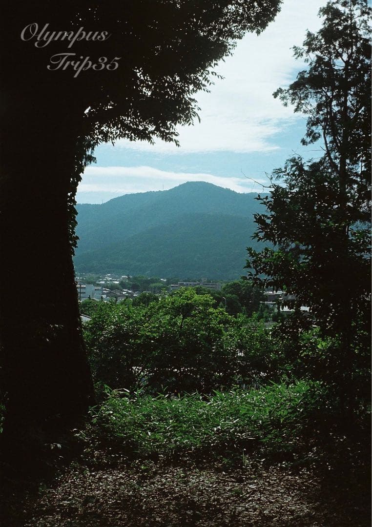 オリンパス trip35 ブラック★作例多数★完動品・美品・整備品