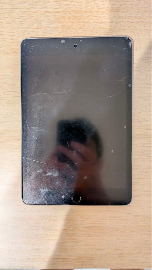 iPad mini 第5世代 256GB（Cellularモデル）SIMフリー