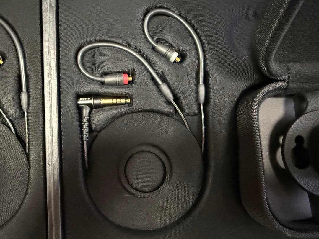 イヤホン SONY IER-M7