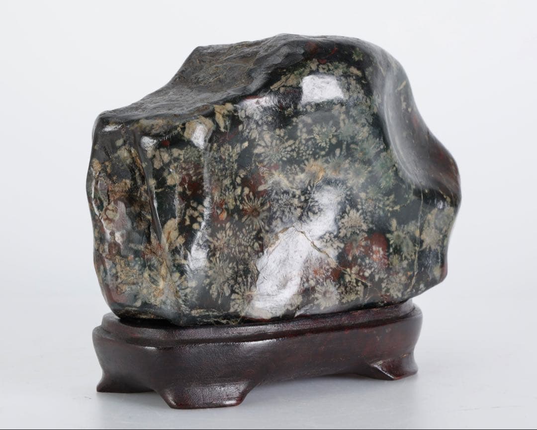 あ*げ様 根尾川産 六華　菊花石 小菊明瞭 台座・共箱付 鑑賞石 盆石 紋石 原