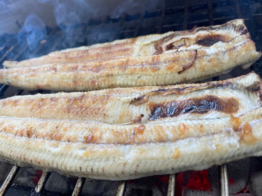 【蒲焼&白焼き】国産鰻　大サイズ×10尾　140g-170g　三河一色産うなぎ