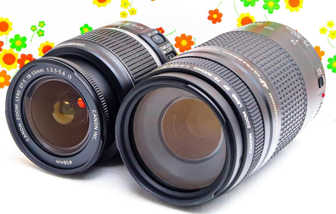 キャノン Canon EOS 7D Mark II☆スマホ転送☆ダブルレンズ