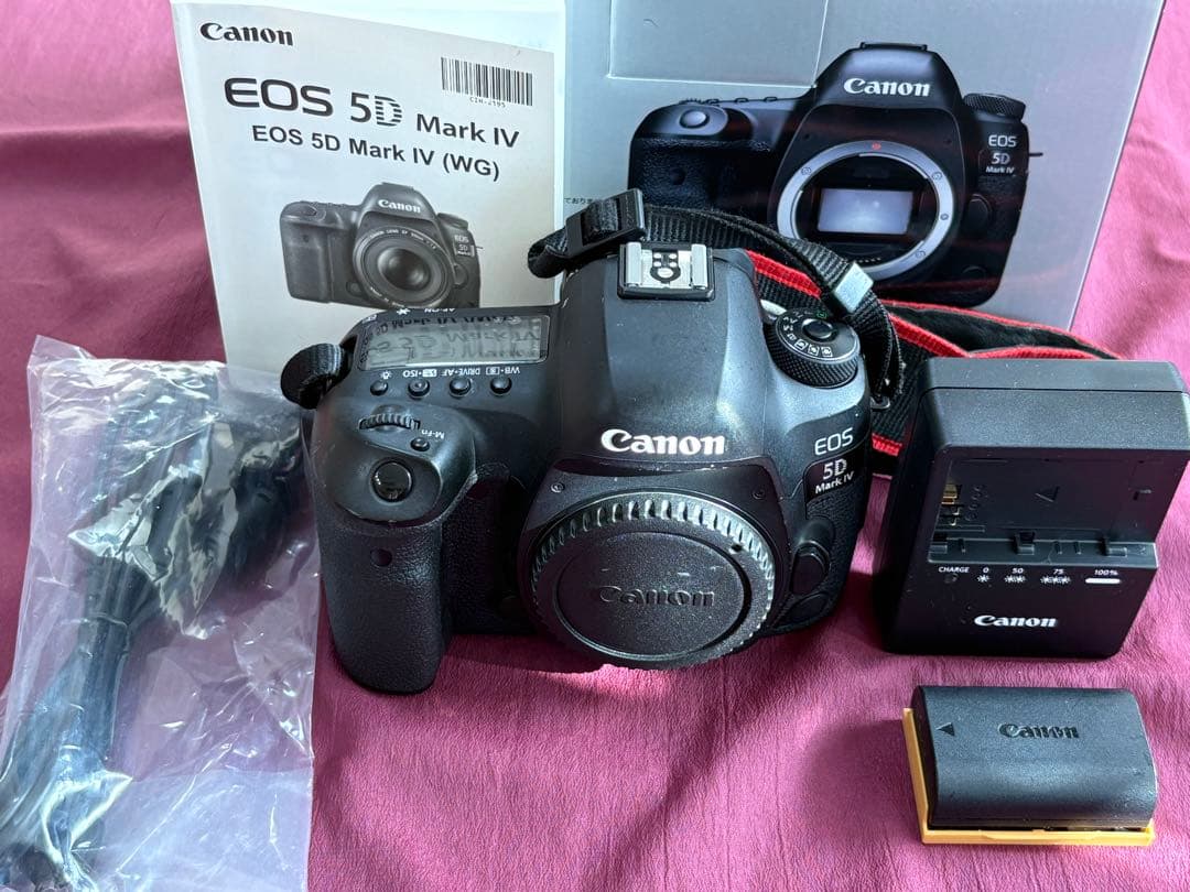 サービスセンターにて点検済　Canon EOS 5D mark 4 付属品完備