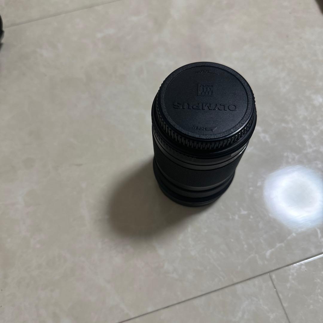 オリンパス　カメラ　E-M10II