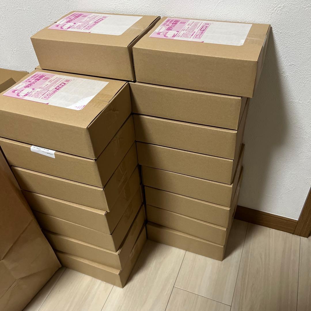 未開封ポケモンセンターBOX「ムニキスゼロ」