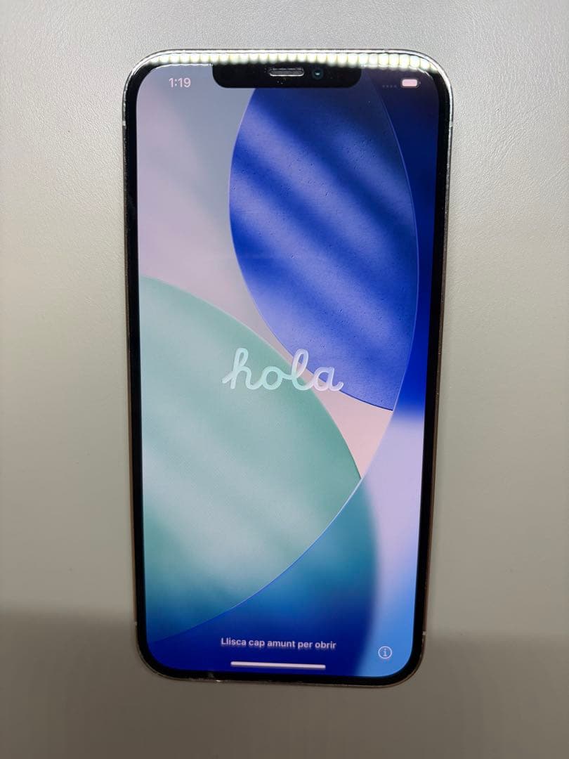 iPhone 12 Pro Max 本体 256GB SIMフリー 残債なし