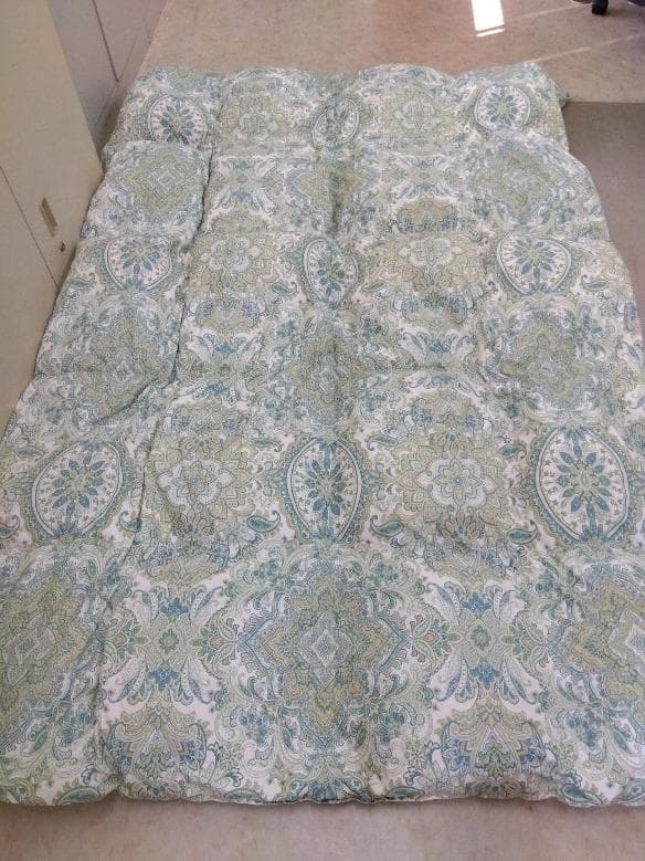 ace　西川　羽毛掛け布団