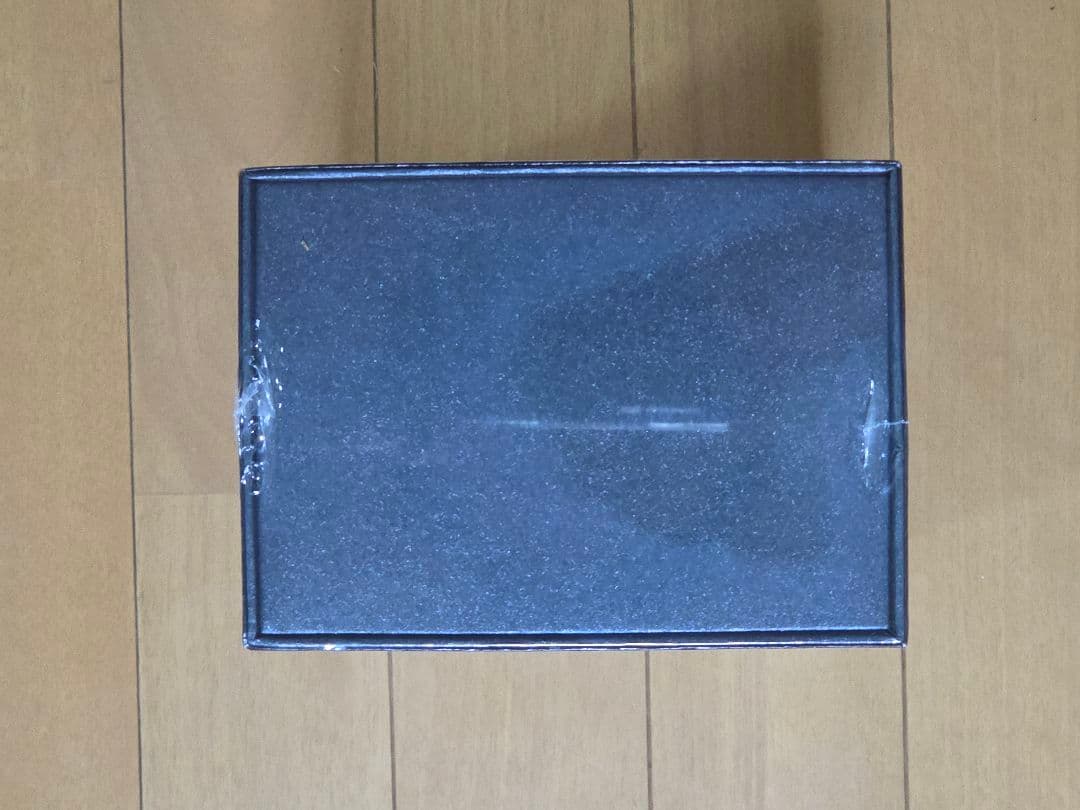 【未開封新品】FiiO FX17 【即日発送】