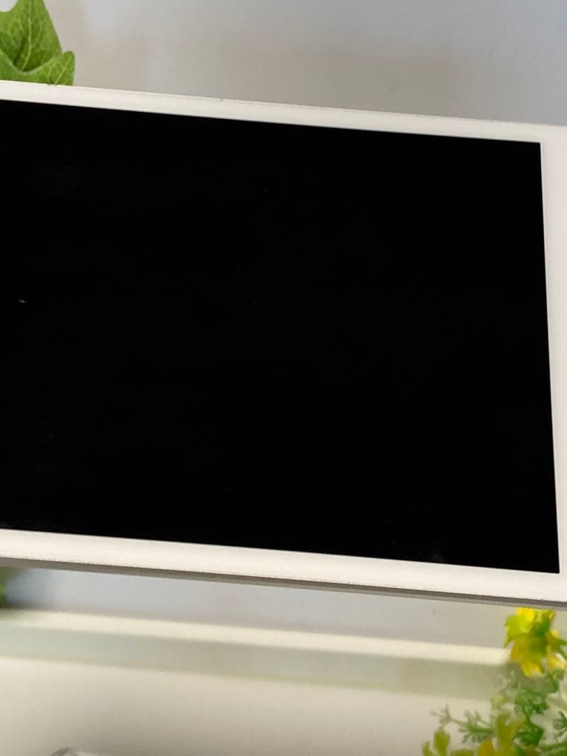 SIMフリー★ Apple iPad mini 5 Wi-Fi+Cellular