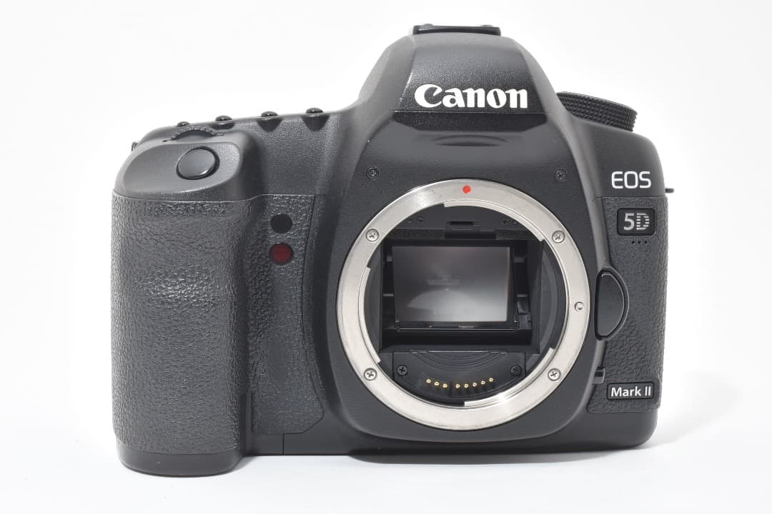 ショット数: 22089回 Canon EOS 5D Mark II #1107