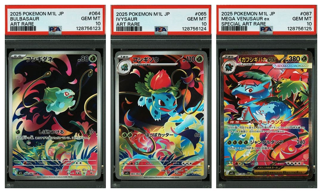 【PSA10連番】メガフシギバナex_SAR 進化ライン