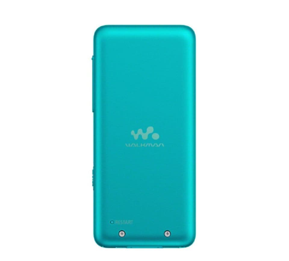 SONY デジタルオーディオプレイヤー(4GB) ウォークマン NW-S313