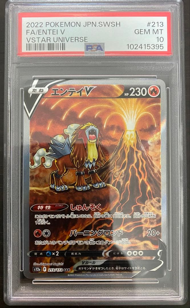 PSA10 エンテイV SAR S12a