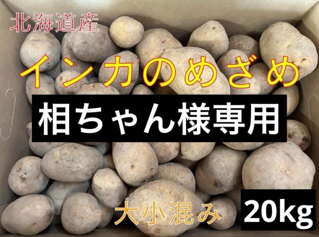 【相ちゃん】北海道産じゃがいも（インカのめざめ）　大小混み20kg