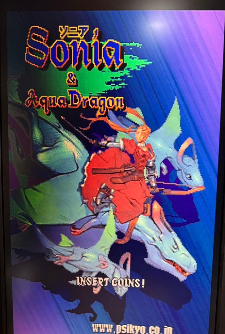 アーケード基板 ドラゴンブレイズ 基板のみ